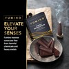 Fumino® Coconut Fresh Incense Cones 20 per Box Masala Agarbatti