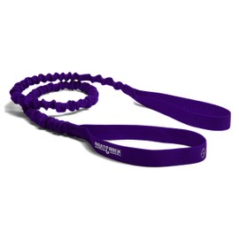 Boat Lines & Dock Ties Bungee Cord and Dock Tie, Double #-Inch Loop Ends, Made in USA (Purple, 5 Foot)