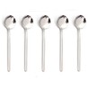 KXLCGYK Tea Spoon, Coffee Spoon, 5 Piece Set, 5.3 inches