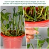 YOYEAH Plant Support Set of 15, 27 cm Plant Holder