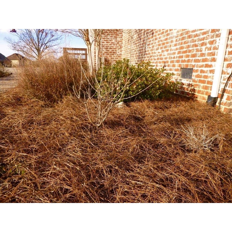 USA Pine Straw - Premium Pine Needle Mulch (Pine Needle