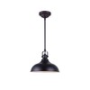 CANARM LPL103A01BK Sussex Integrated LED 1 Light Pendant with Metal