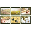 Lady Clare Traditional Coasters Game Birds