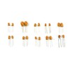 BGTXINGI 100pcs 10 Values Tantalum Capacitors 16V 1uf - 100uF