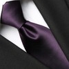 KissTies Mens Satin Necktie Grape Plum Purple Solid Tie +