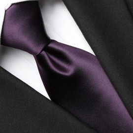 KissTies Mens Satin Necktie Grape Plum Purple Solid Tie + Gift Box