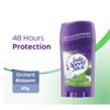 Lady Speed Stick Wild Freesia / ORCHARD BLOSSOM / INVISIBLE