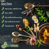 Urological Tea for Urinary Tract Problems Including Kidneys & Bladder