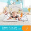 Fisher-Price Perfect Sense Deluxe Gym Baby Infant 0 Months +