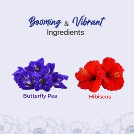 BLUE TEA - Combo Pack - Butterfly Pea Flower Tea - 0.88 Oz (25+ Cups) & Hibiscus Tea - 1.76 Oz (50 Cups) | Chemical Free - Flower Based - Caffeine Free - Herbal Tea | Reusable Pet Jar