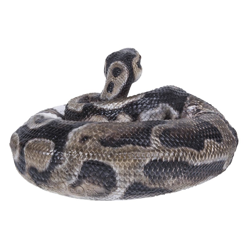 Hi-Line Gift 87680-B Regius Ball Python Statue