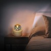 Kibuhain 3D Crystal Ball Music Box with Projection LED Light