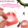 50 Pcs 0.5oz Spider Food and Water Feeding Cups Small