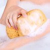 3 Bath Sponges, Natural Sea Water Sponge Wash Sponges for
