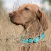 Dogline Biothane Waterproof Dog Collar Strong Coated Nylon Webbing with