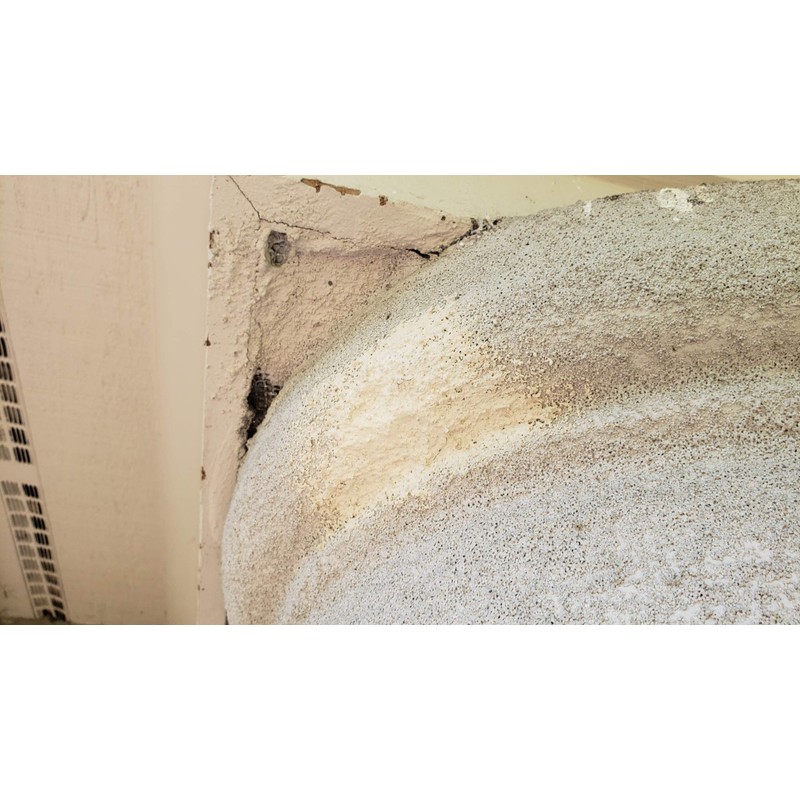 EIFS Stucco Woodpecker Damage Repair Kit