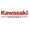 Kawasaki OEM 12004-0746 Intake Valve Fits Some FX751V FX801V FX850V