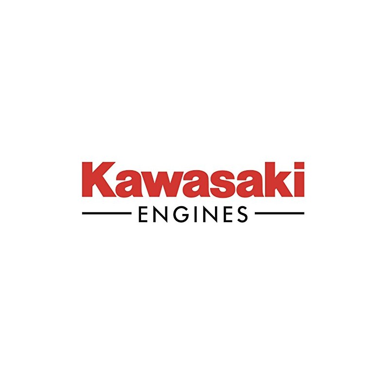Kawasaki OEM 12004-0746 Intake Valve Fits Some FX751V FX801V FX850V
