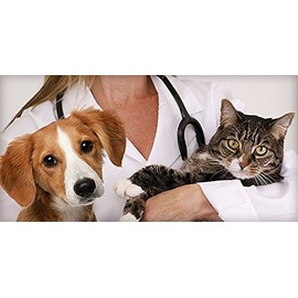 Dog Scratching Relief - Omega 3 for Pets - Dog and CAT Treats - Premium Healthy Supplement - Dog Omega 3 Chews - 180 Softgels (1 Bottle)