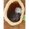 Warm Winter Bird Nest with Removable Cushion, Stump Style Bird