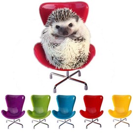 Hedgehog Chair Mini Plastic Swivel Seat Small Animal Toys Habitat Decor Cage Accessories Hedgehog Supplies Photo Props Chair Toy for Hedgehog,Bird,Parrot,Mouse,Chinchilla, Rat,Gerbil,Dwarf Hamster