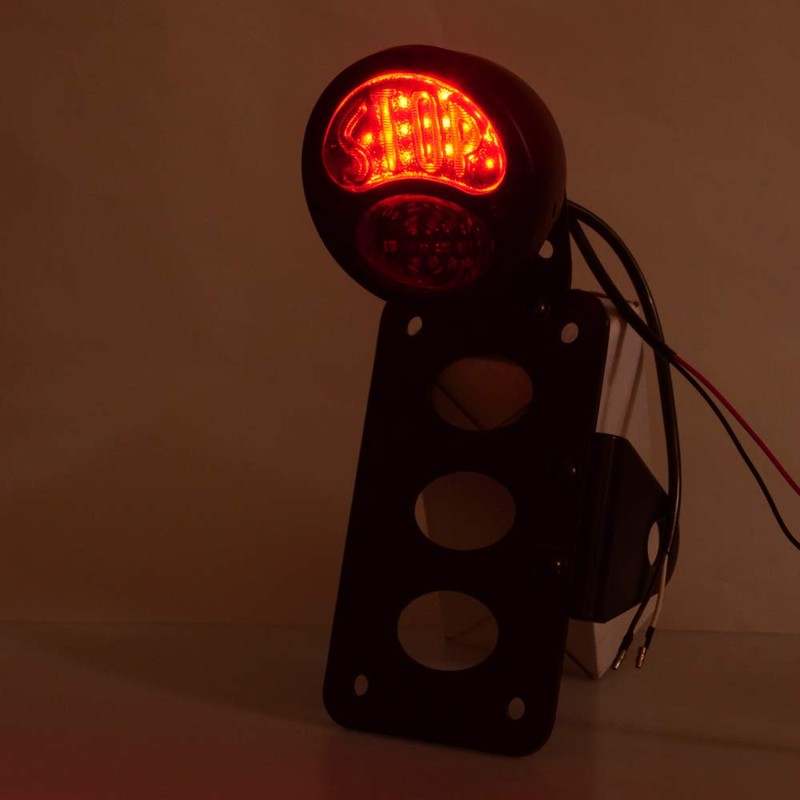 Amazicha Motorcycle LED Tail Light Brake Rear light 1" side