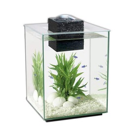 Fluval Chi II Set para Acuario, 5 galones