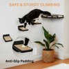 INICIO Cat Wall Shelves - Modern and Durable 3 Step