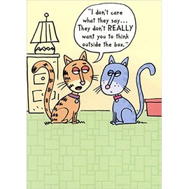 Designer Greetings Two Cats : Don't Think Outside The Box Funny/Humorous Birthday Card
