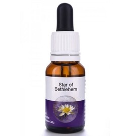 Living Essences Star Of Bethlehem 50ml