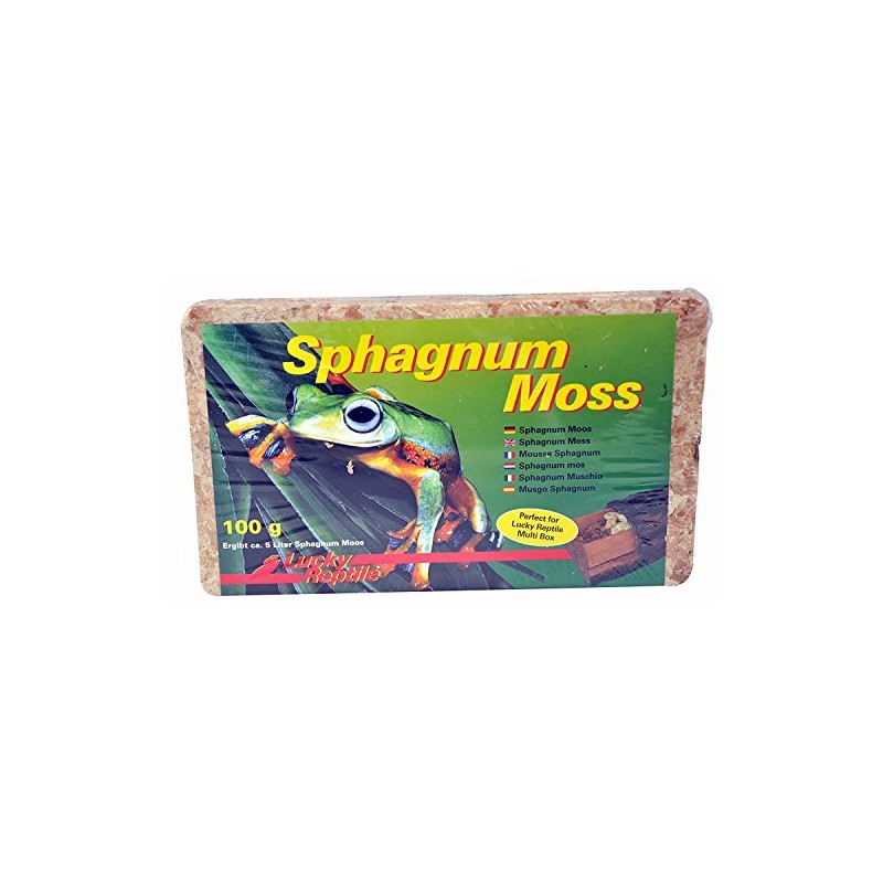 Lucky Reptile Sphagnum Moss, Terrarium Moss, 100 G