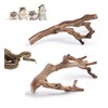YZHZOM 2pcs Natural Reptile Wood Branches Snake Climbing Branch Branches