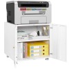 Small Space Home Office Filing Cabinet Adjustable Shelf Wheels Metal