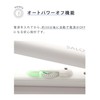 SALONIA Double Ion Straight Iron, Professional Grade 446°F (230°C), International