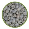 Coffee Raw Beans Guatemala SHB Santa Rossa S17 Q Grade