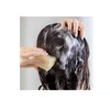 Plares Solid Hair Shampoo, 3.2 oz (90 g), PLALESS