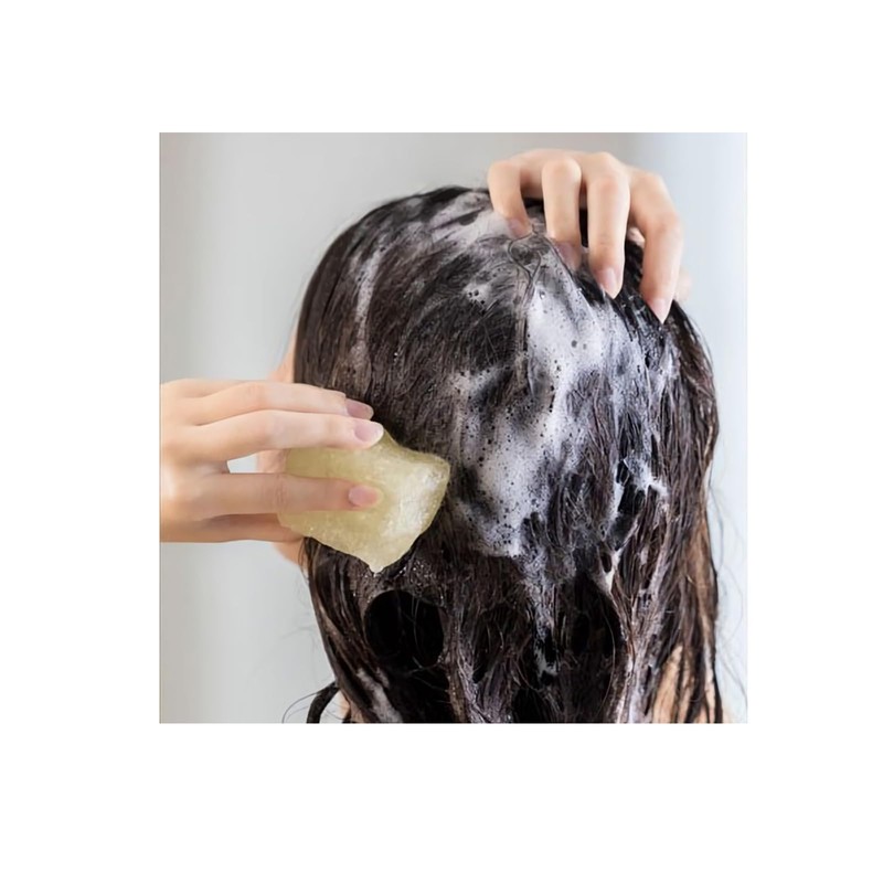 Plares Solid Hair Shampoo, 3.2 oz (90 g), PLALESS