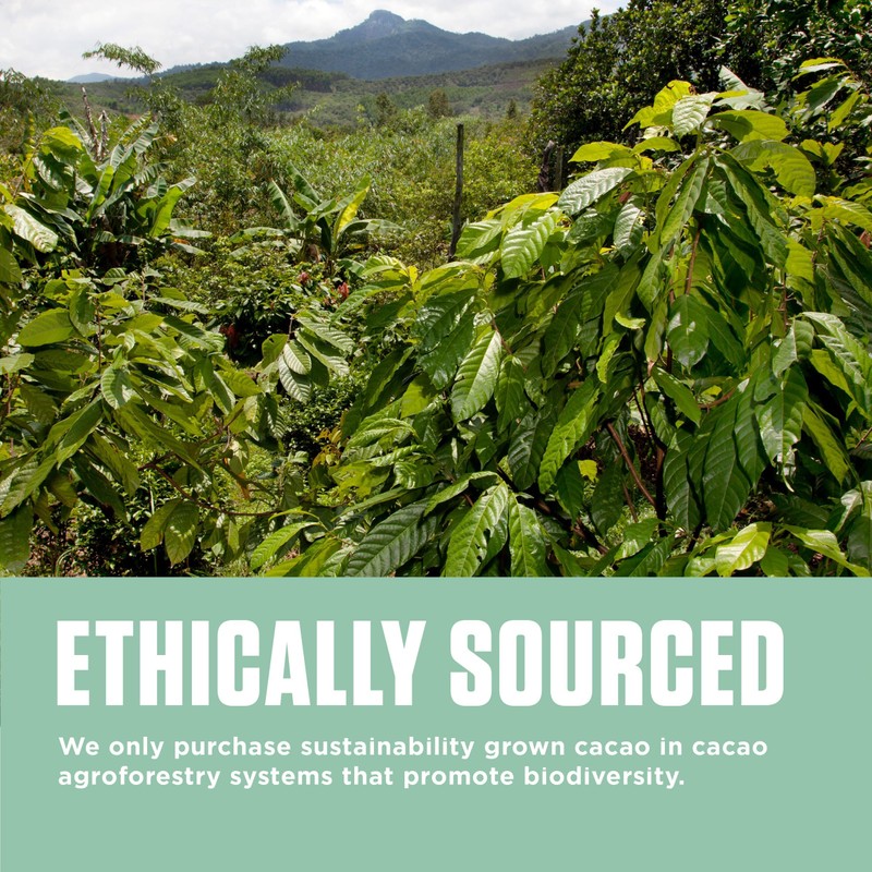 Marou Cacao Powder Bulk Bag 1 Kilogram