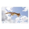 Rannenberg & Friends "Höhenflug" Chopping Board/Breakfast Board Dimensions: 23.5 cm x 14.3 cm
