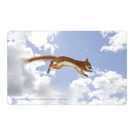 Rannenberg & Friends "Höhenflug" Chopping Board/Breakfast Board Dimensions: 23.5 cm x 14.3 cm