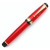 xixixiaozhu Metal Big Fountain Pen Set Medium Nib 0.7mm, Includes