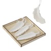 Heaven Sends Set of 4 White Feather Decorations