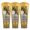 Argan Gold Treatment 200ml 2pcs Plus 1 Extremely Damaged Hair Care / 아르간 골드 트리트먼트 200ml 2개플러스1 극손상 모발 케어