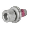 Original Screw with Disc for Rear Brake Caliper 46417117