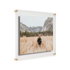 COOL MODERN FRAMES 16x20" Clear Double Panel Floating Acrylic Picture Frame Display with Gold Hardware for Displaying Art and Photos on Wall