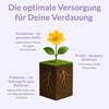 BitterLiebe - Intestinal Building Package - with Postbiotics, Probiotics and