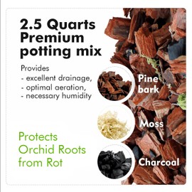 Orchid Repotting Kit – 1x White Pot + 1x Clear Pot + Bark Mix – Small Orchid Potting Kit for One Repotting – Ideal for Phalaenopsis Roots – No Fertilizer