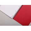 Clairefontaine - Ref 482/1127Z - Europa Notemaker Sidebound Notebook (120