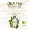 Shampoo Orgánico Ozonizado De Romero y Aloe Vera y Vitamina