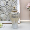 Decorative Ceramic Ginger jar with lid,Storage Ginger jar,Ceramic vase for